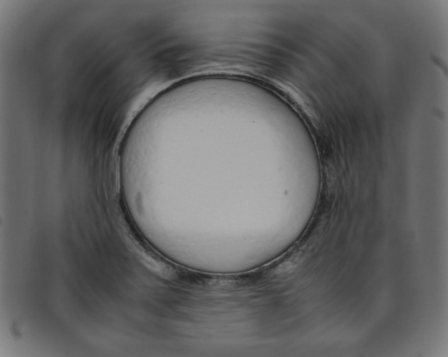 X0000098101371200804251354