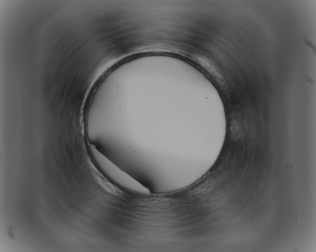 X0000098101372200804251354