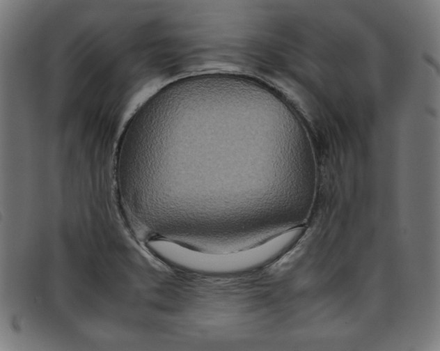 X0000098101373200804251354
