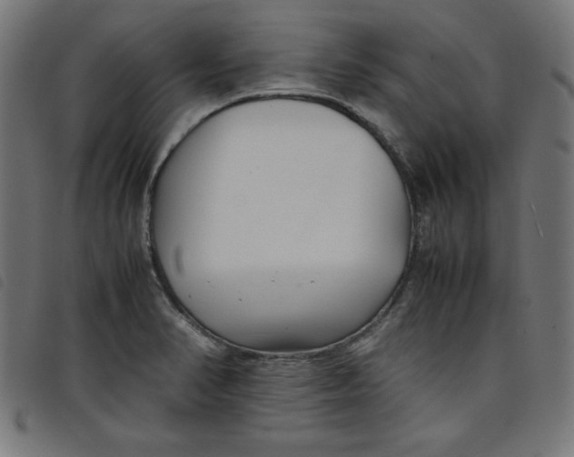 X0000098101374200804251354