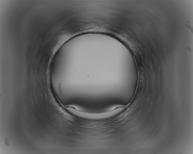 X0000098101375200804251354