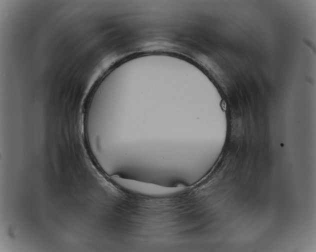 X0000098101376200804251354