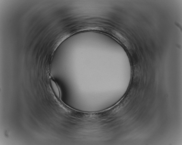 X0000098101377200804251354