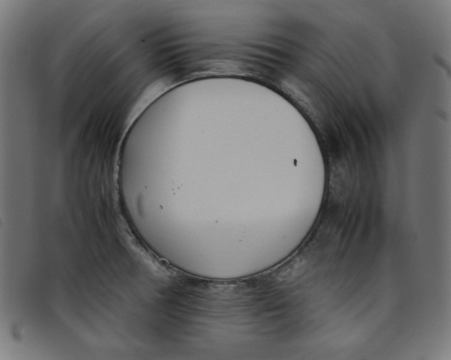 X0000098101378200804251354