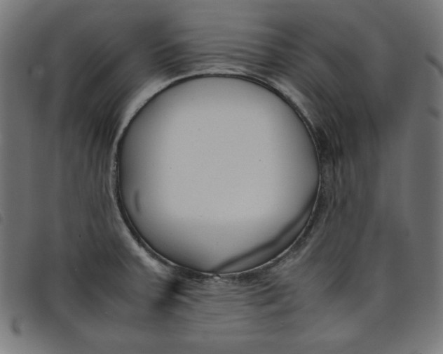 X0000098101379200804251354
