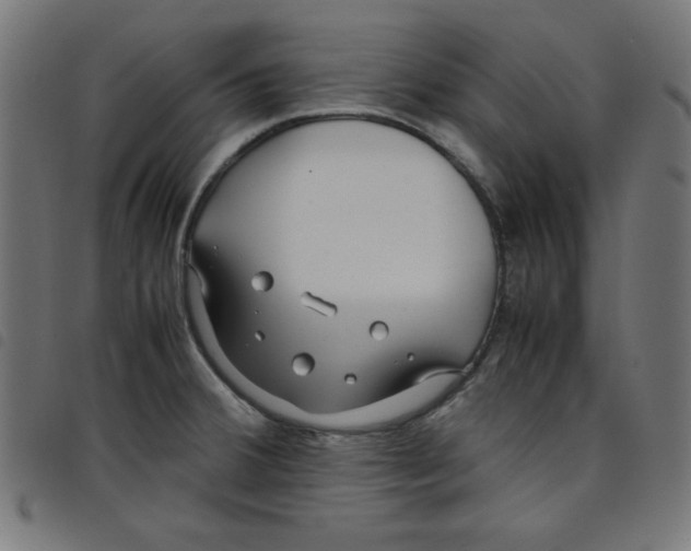 X0000098101380200804251354