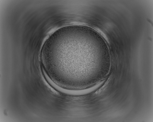 X0000098101381200804251354