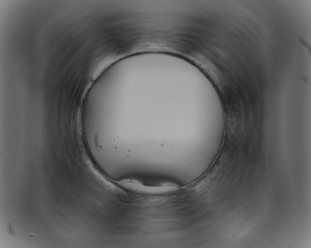 X0000098101382200804251354