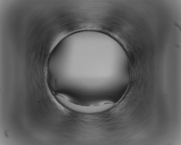 X0000098101383200804251354