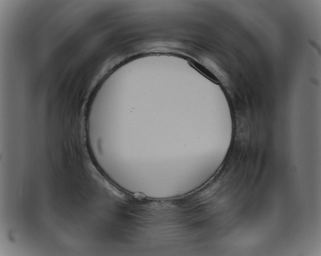 X0000098101384200804251354