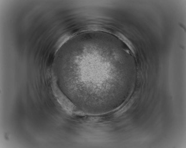 X0000098101385200804251354