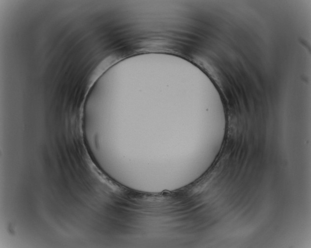 X0000098101386200804251354