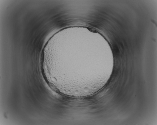 X0000098101387200804251354