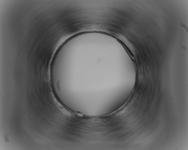 X0000098101388200804251354