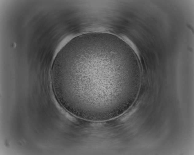 X0000098101389200804251354