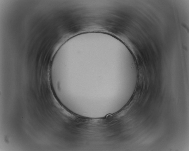 X0000098101390200804251354