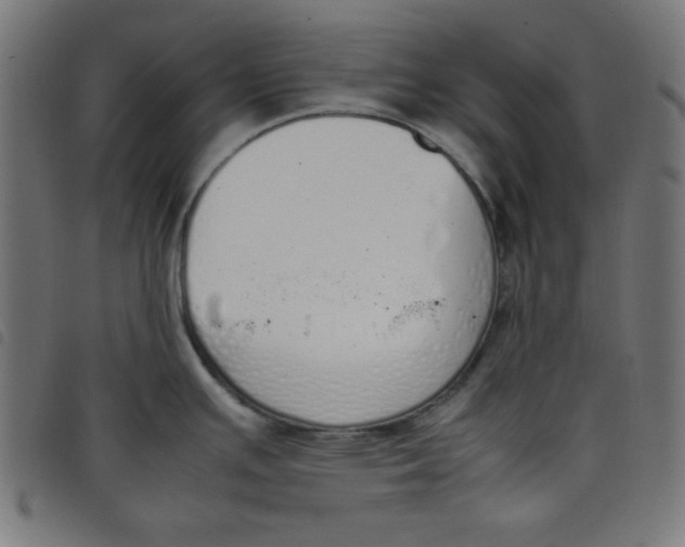 X0000098101391200804251354