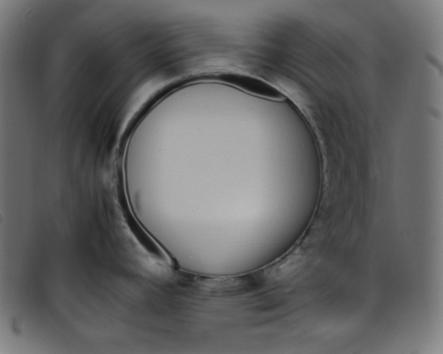 X0000098101392200804251354