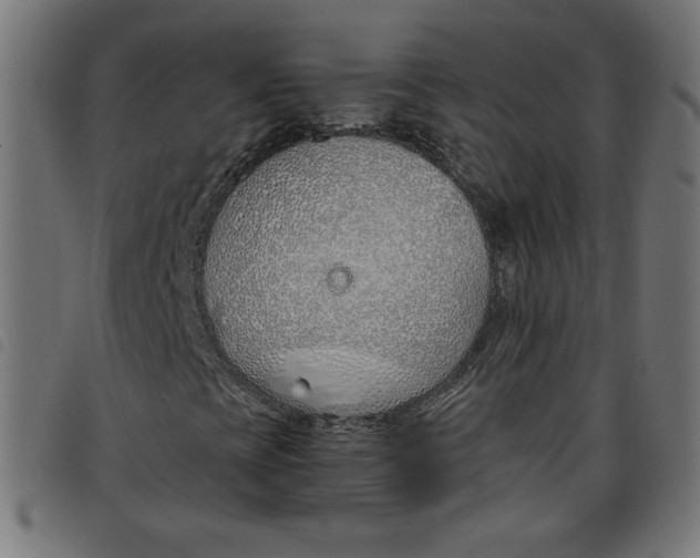 X0000098101393200804251353