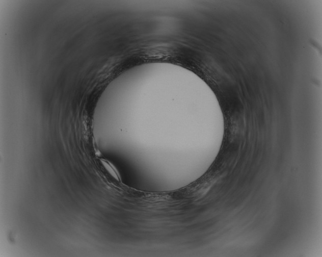 X0000098101394200804251353