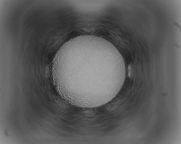 X0000098101395200804251353