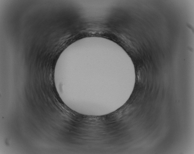 X0000098101396200804251353