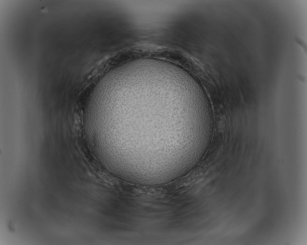 X0000098101397200804251353