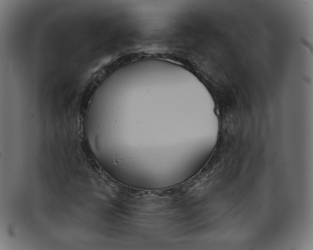 X0000098101398200804251353