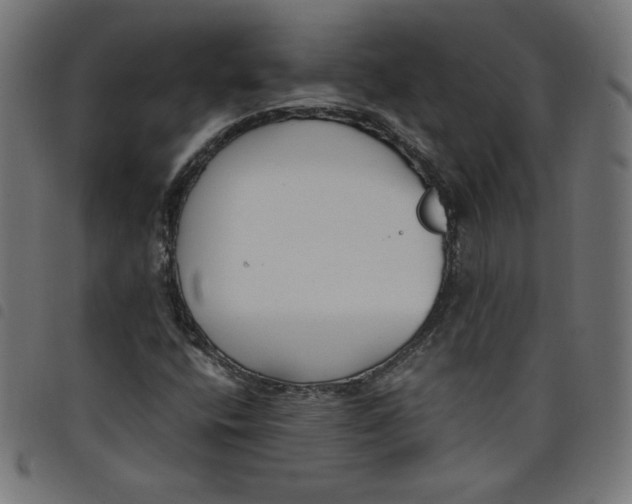 X0000098101400200804251353