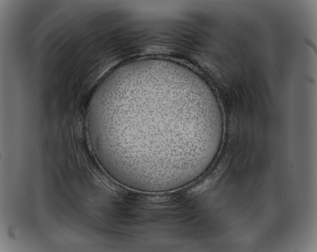 X0000098101401200804251353