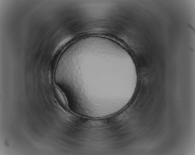 X0000098101402200804251354