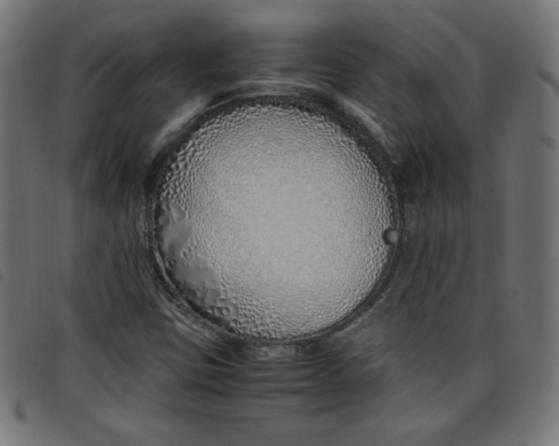 X0000098101403200804251354