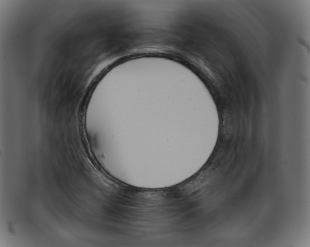 X0000098101404200804251354