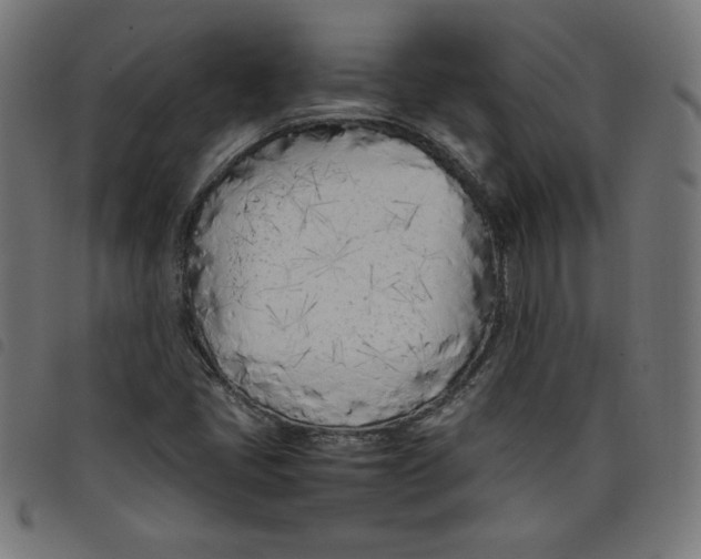 X0000098101405200804251354