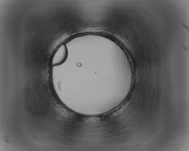 X0000098101406200804251354