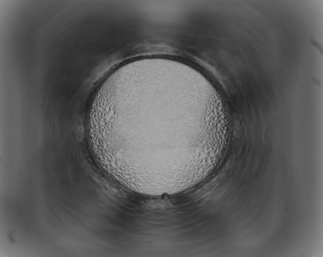 X0000098101407200804251354