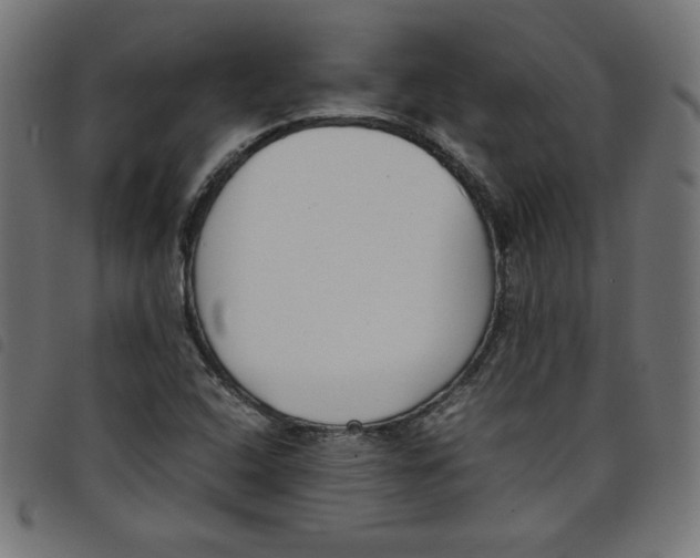 X0000098101408200804251354