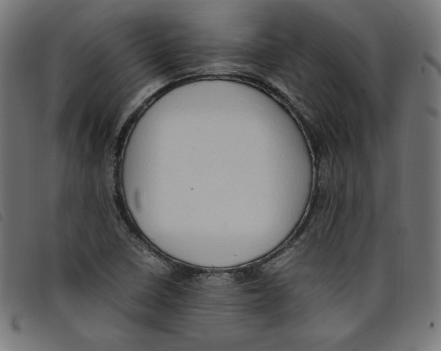 X0000098101410200804251354