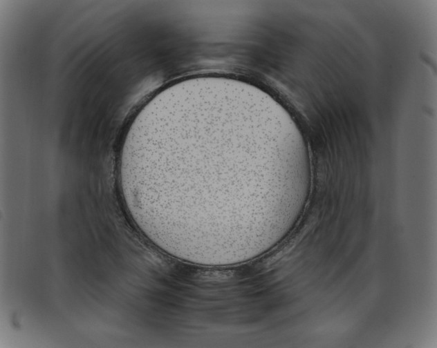 X0000098101411200804251354