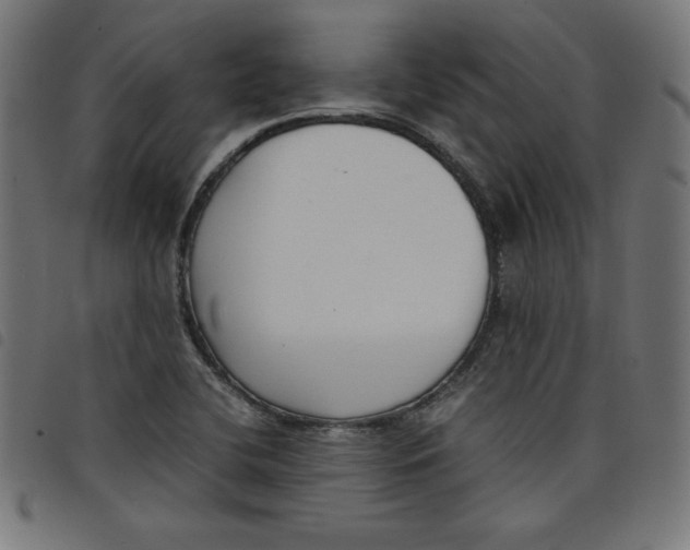 X0000098101412200804251354