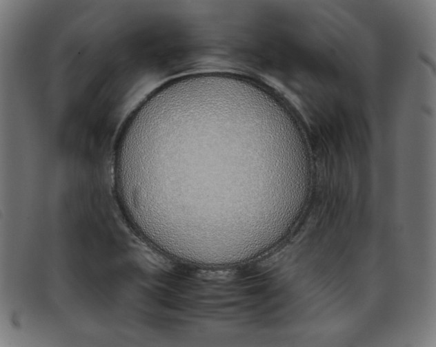 X0000098101415200804251354