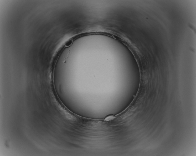 X0000098101416200804251354