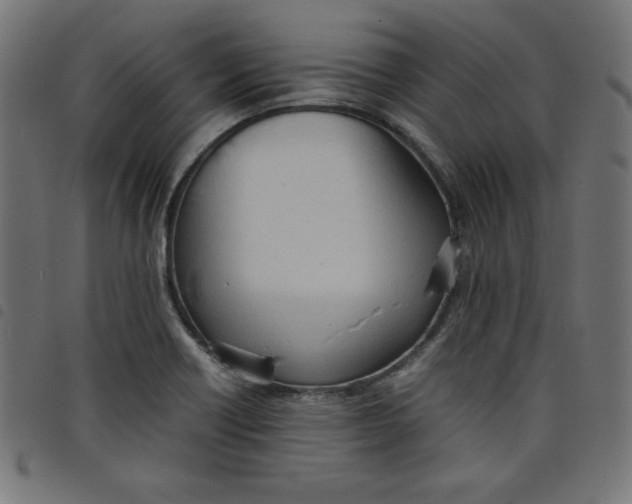 X0000098101418200804251354