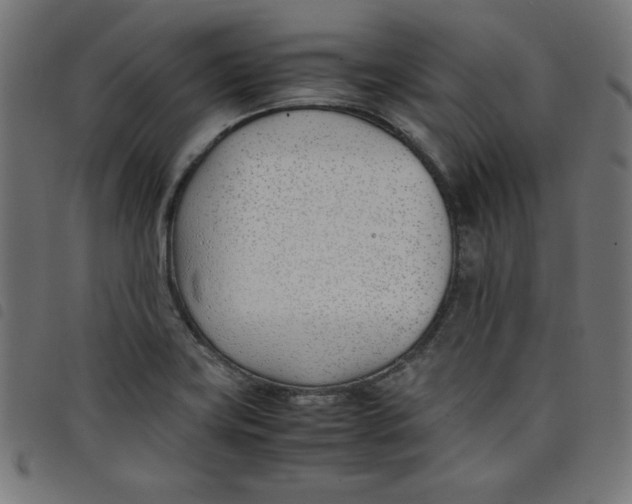 X0000098101419200804251354