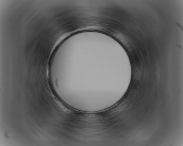 X0000098101420200804251354