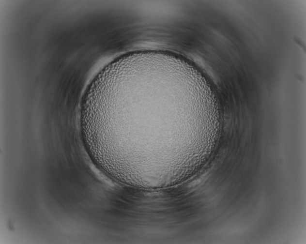 X0000098101421200804251354