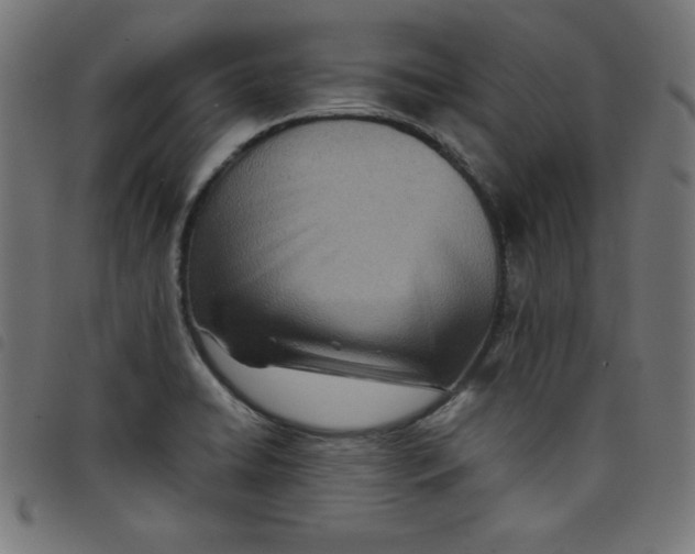 X0000098101422200804251354