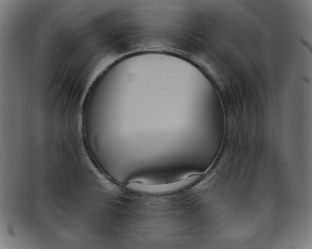 X0000098101424200804251354