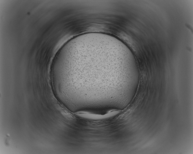 X0000098101427200804251354