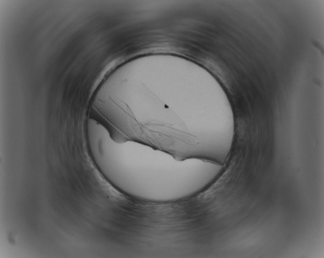 X0000098101428200804251354